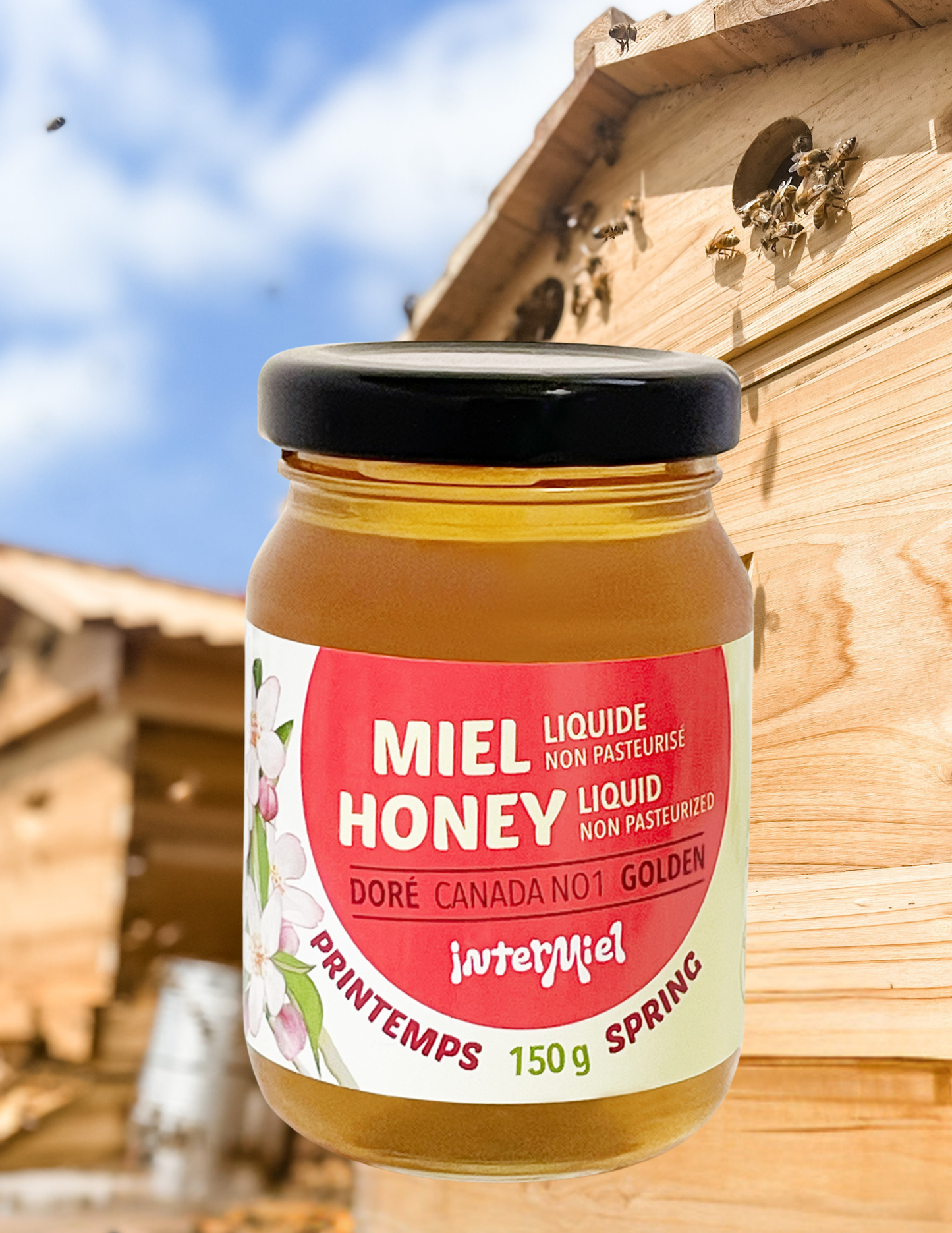 Miel crémeux ,de trèfle et bonbons