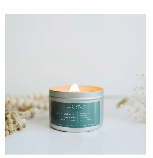 Bougie eucalyptus et lavande