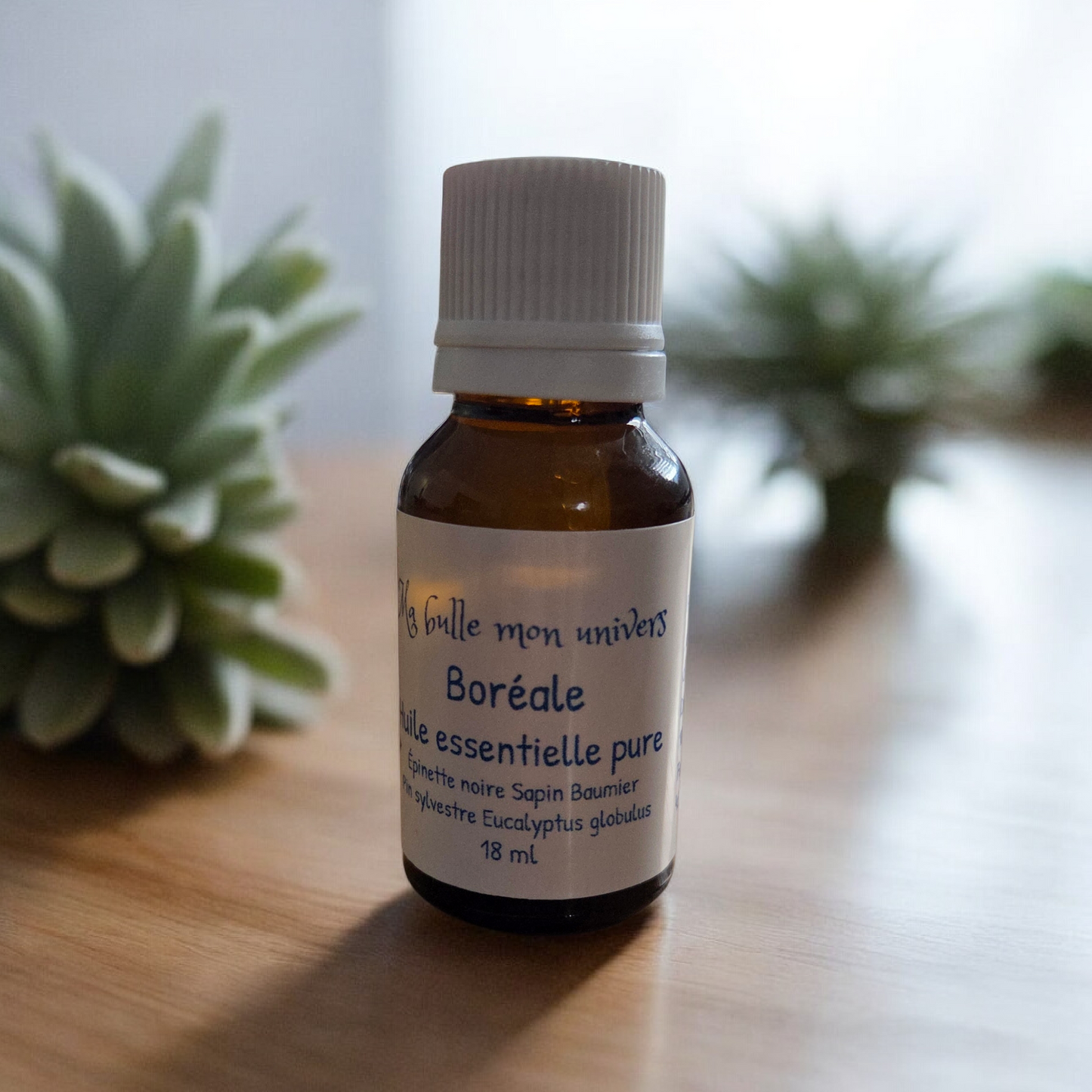 Synergie BORÉALE