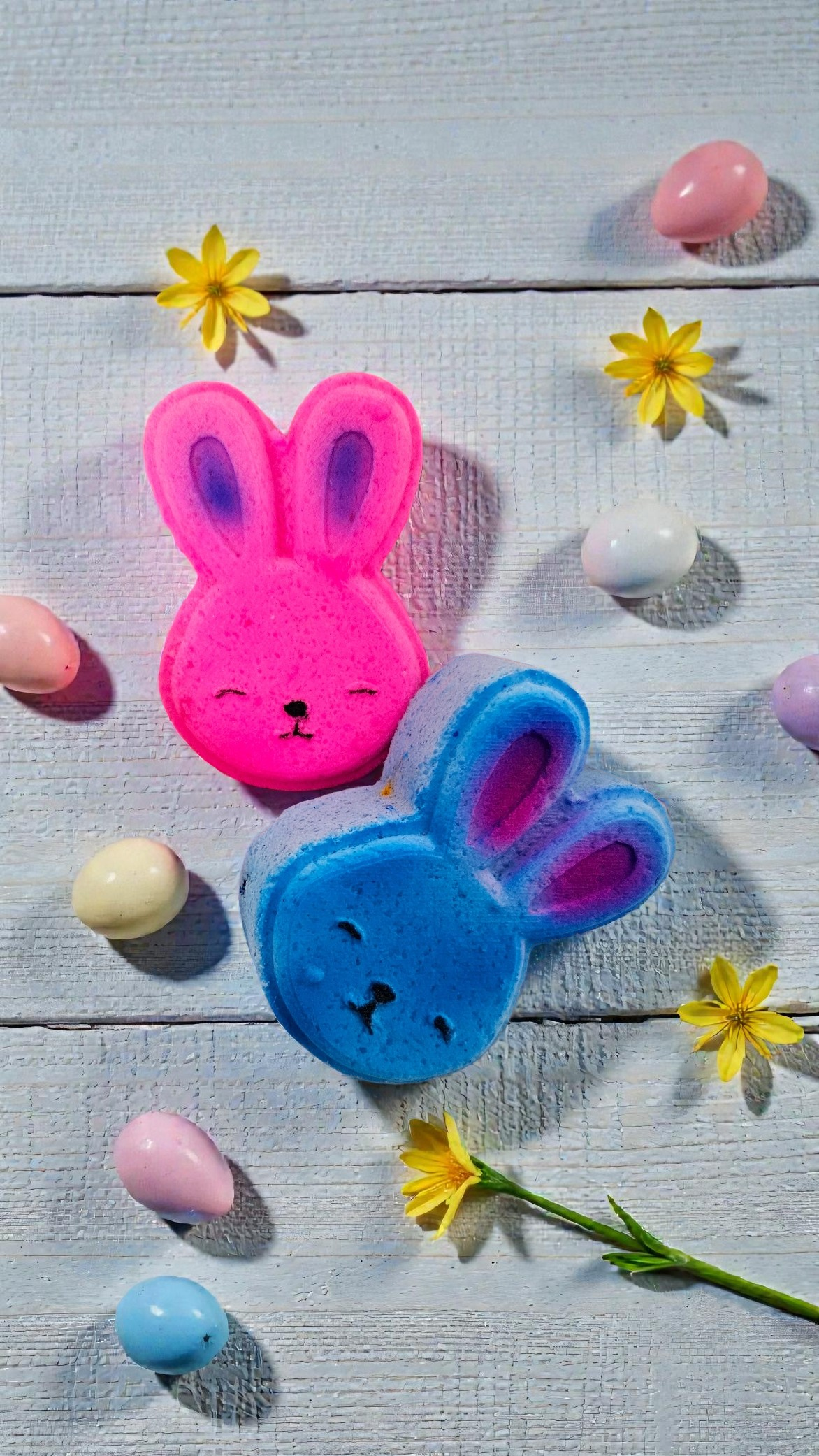 Bombe lapin avec insertions de couleurs