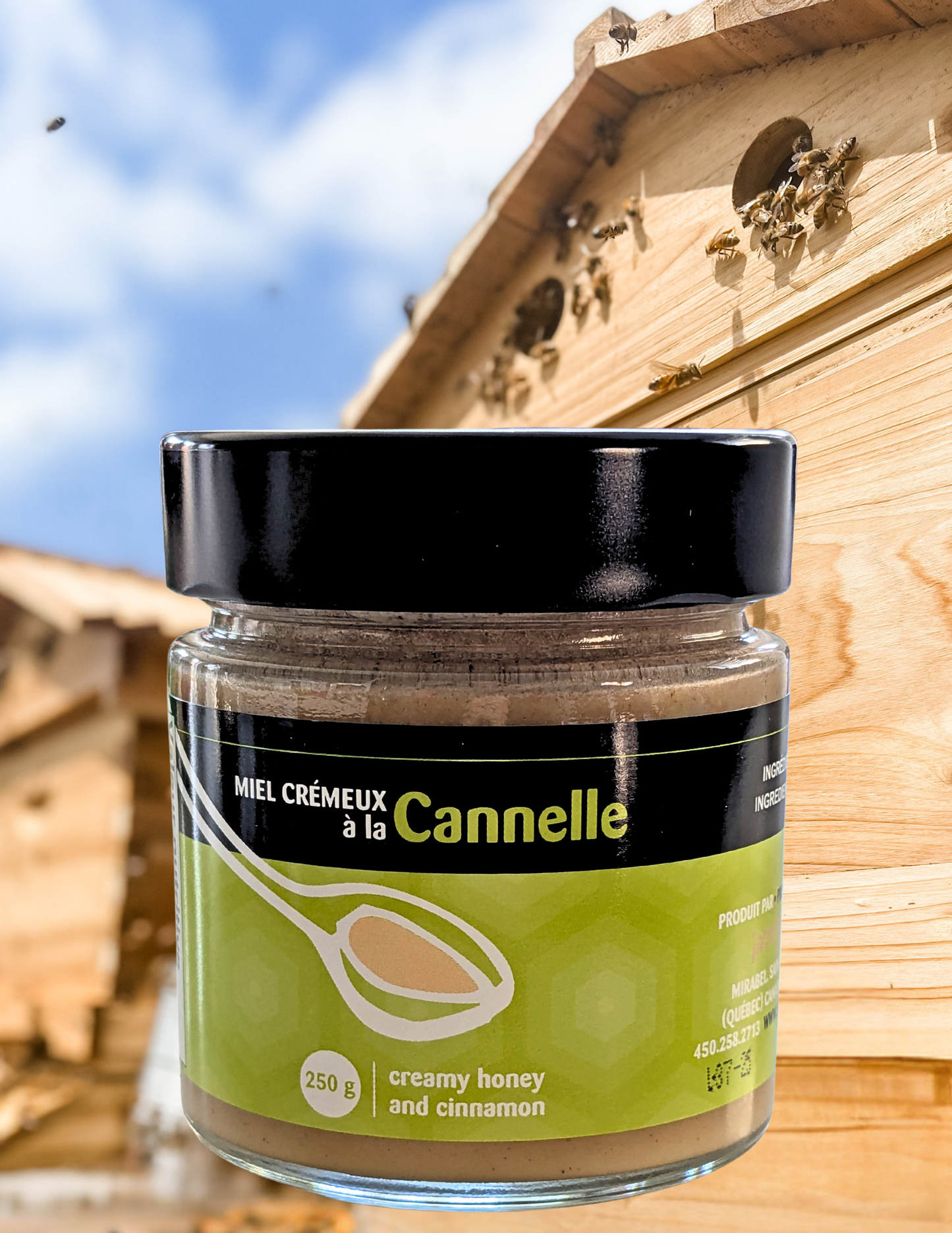 Miel crémeux ,de trèfle et bonbons