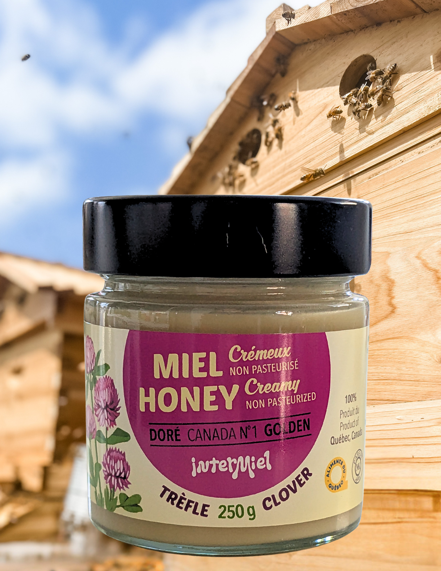 Miel crémeux ,de trèfle et bonbons