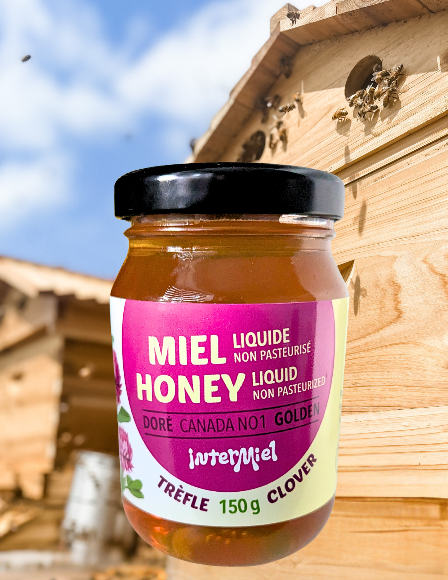 Miel crémeux ,de trèfle et bonbons