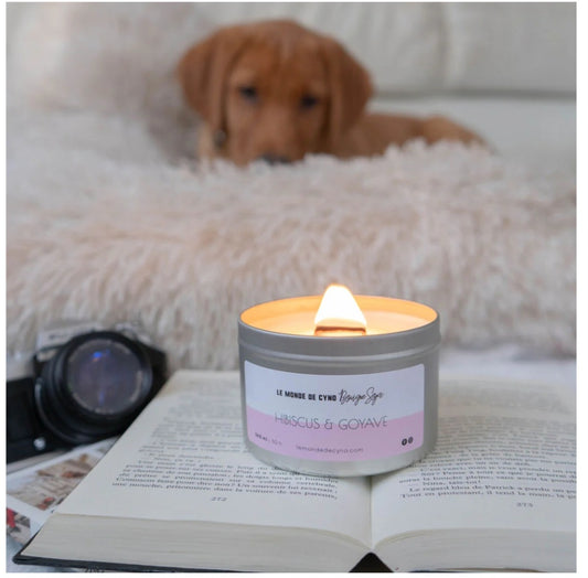 Bougie Hibiscus Goyave