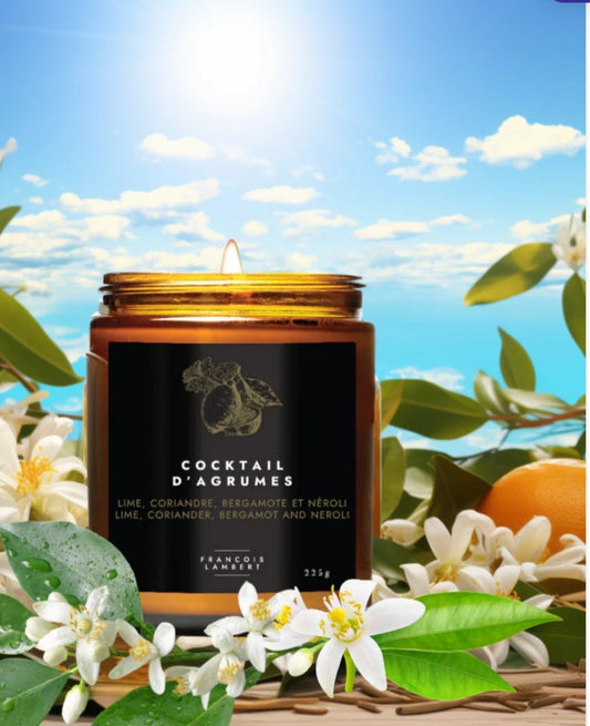 Cocktail d'agrumes - Bougie de soya, Lime-Coriandre-Bergamote-Néroli