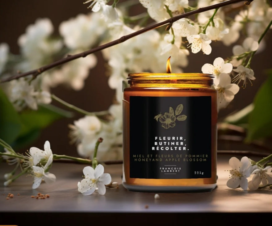 Fleurir, butiner, récolter - Bougie de soya au miel et fleurs de pommier