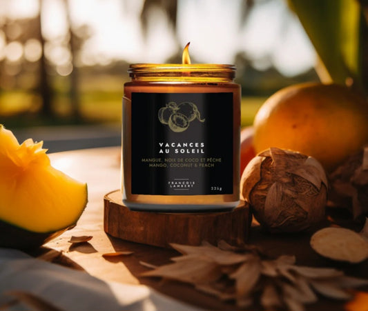 Vacances au soleil - Bougie de soya à la mangue, noix de coco et pêche