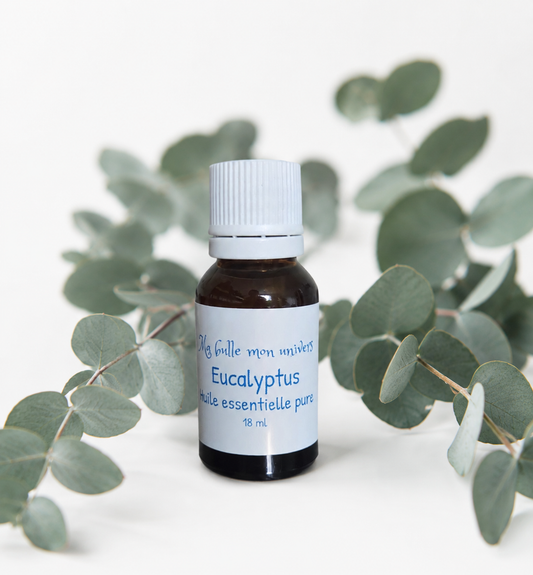Huile essentielle Eucalyptus